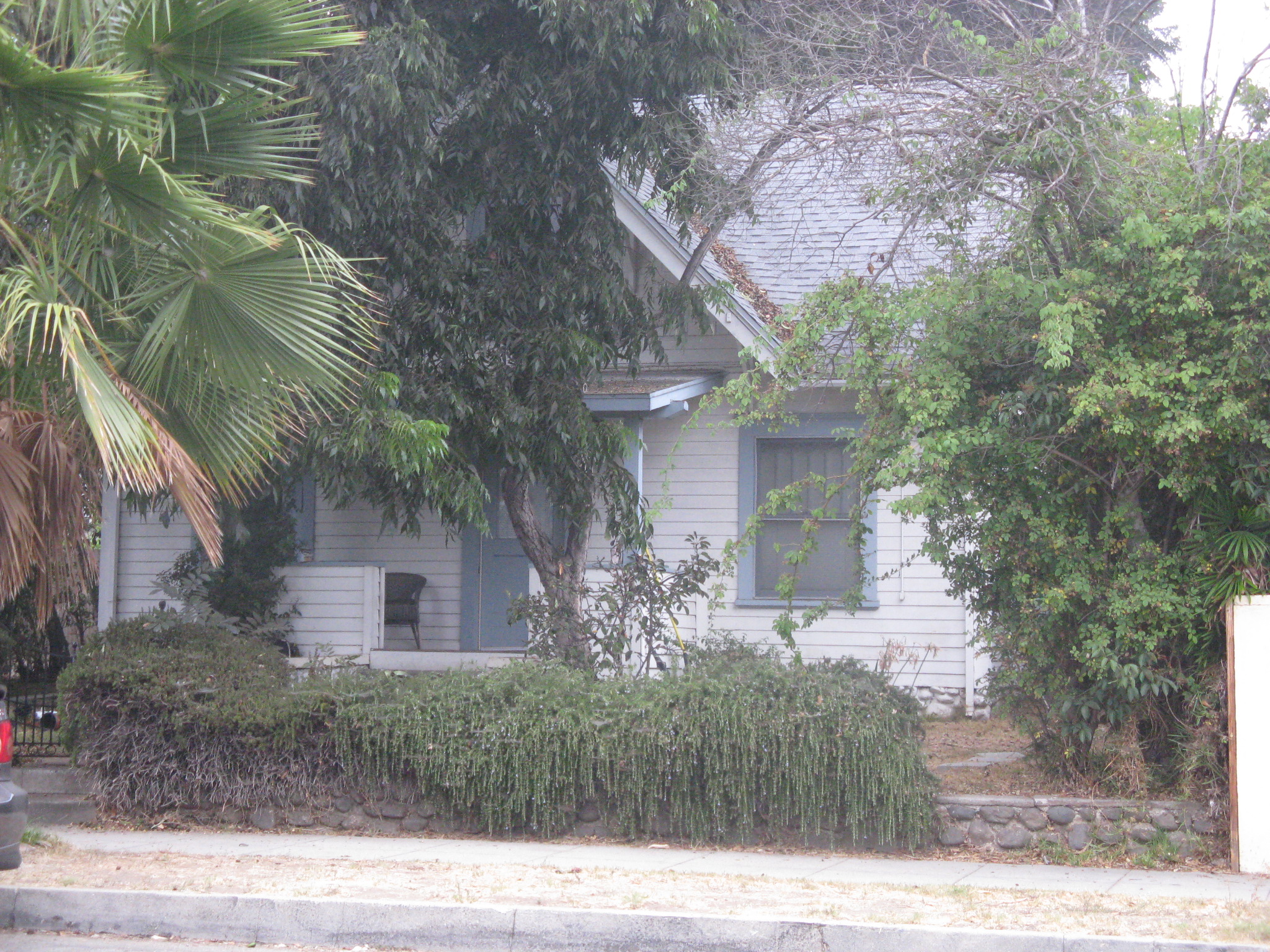 PIP AndieHouse